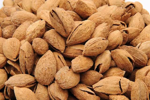 بادام درختی پوست کاغذی منقا ارگانیک باغی ممتاز